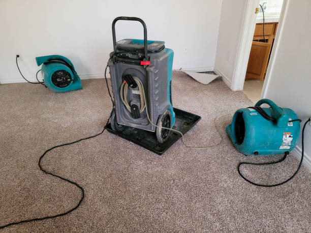 Best Emergency water damage restoration  in Des Plaines, IL