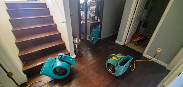 Best Commercial water damage restoration  in Des Plaines, IL