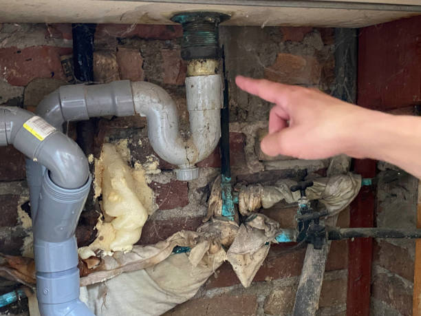 Best 24-hour water damage restoration  in Des Plaines, IL