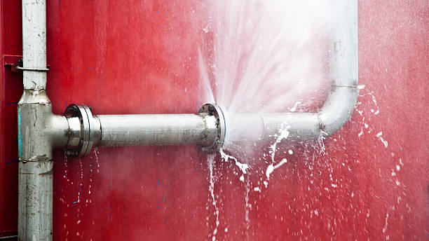 Best Mold removal after water damage  in Des Plaines, IL